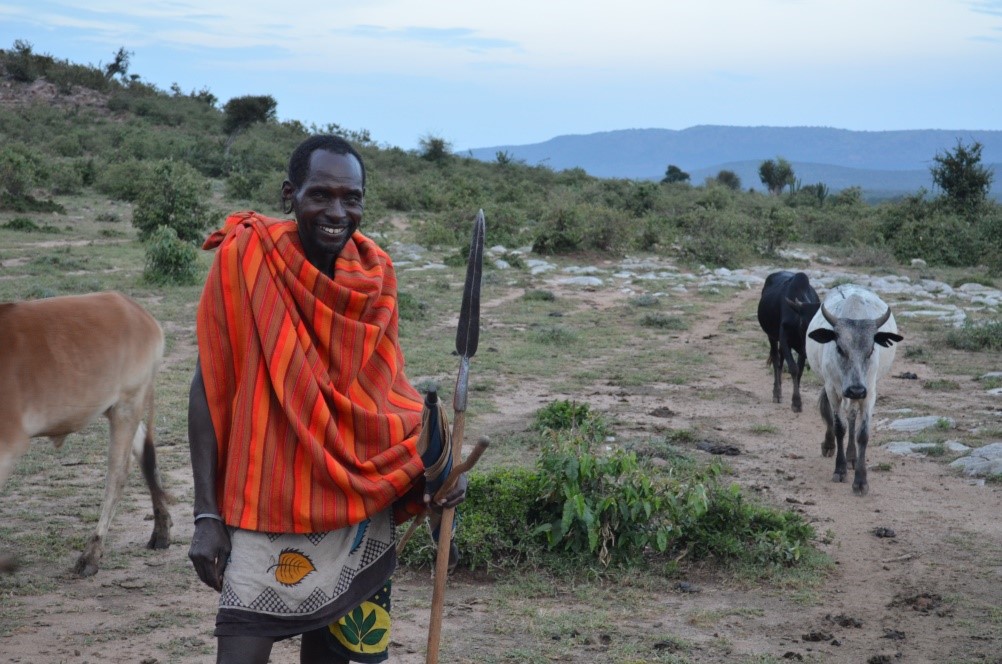 A man with walking stick in bright, cultural garb stands with free-roaming animals