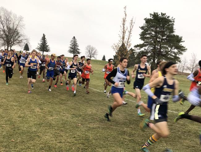 Cross country runners during a race