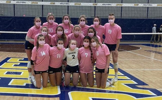 Volleyball team members posing for a team photo in their pink jerseys.