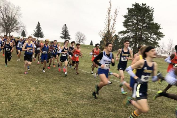 Cross country runners during a race