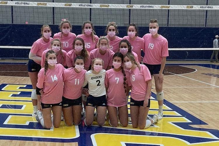 Volleyball team members posing for a team photo in their pink jerseys.