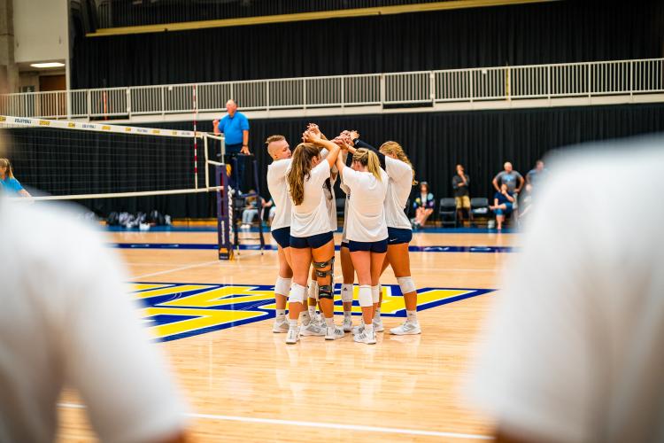 Volleyball players celebrate after scoring.