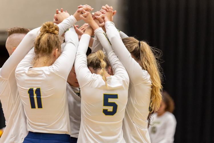 Volleball team celebrating after a point.