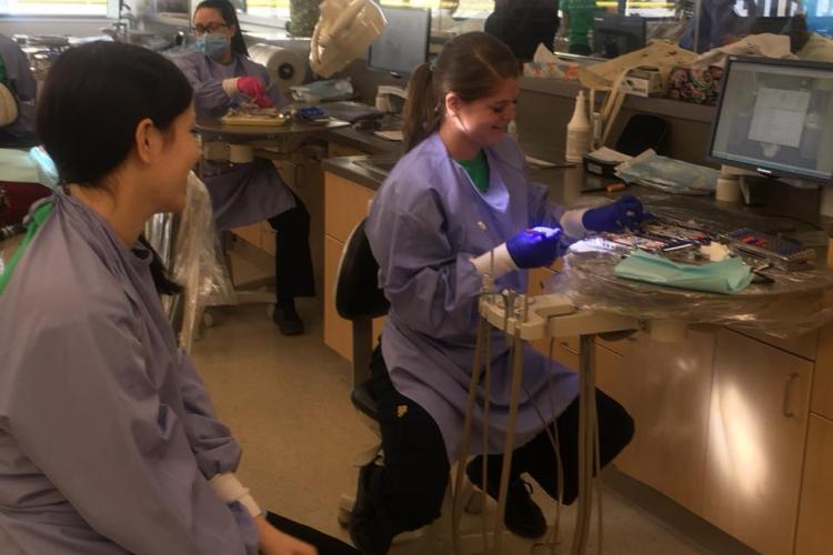 Two dental students prepare a tray of instruments.